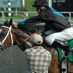 Arlington Raceway 2005