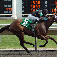 Arlington Raceway 2005