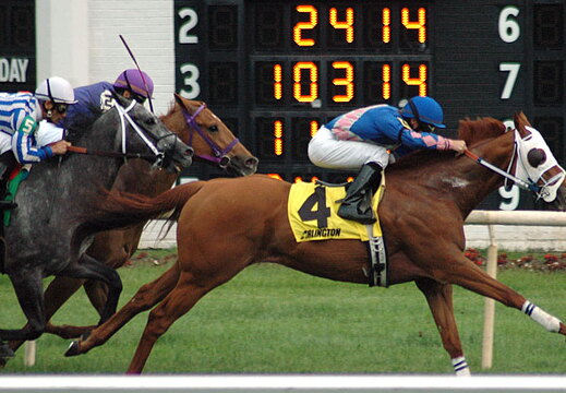 Arlington Raceway 2005