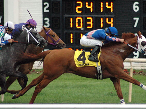 Arlington Raceway 2005