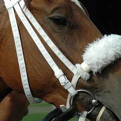 Arlington Raceway 2005
