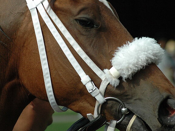 Arlington Raceway 2005