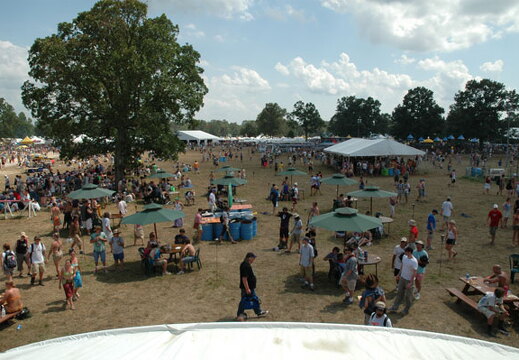 Bonnaroo 2004