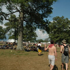 Bonnaroo 2004