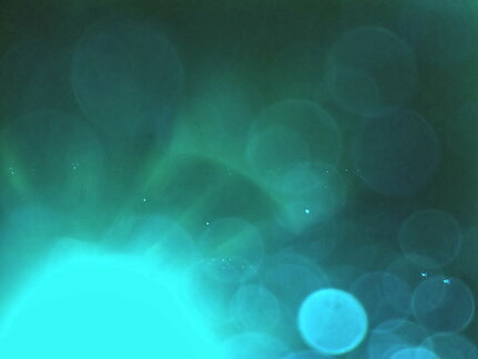 iPad Deployment 2010