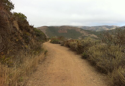 iPad Deployment 2010