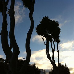 iPad Deployment 2010