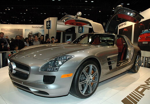 Chicago Auto Show 2010