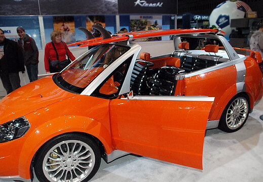 Chicago Auto Show 2010