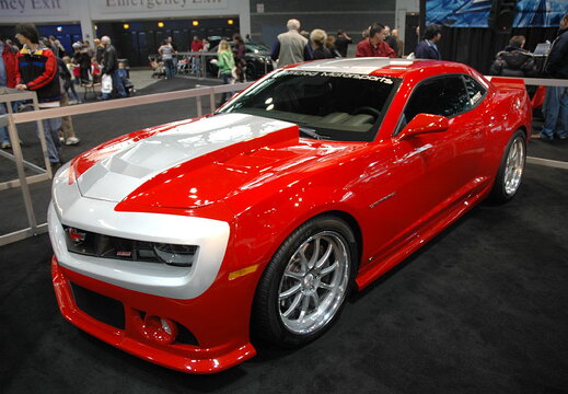 Chicago Auto Show 2010