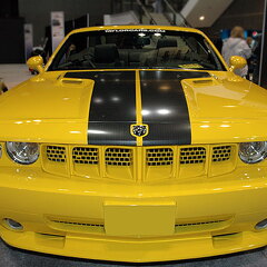 Chicago Auto Show 2010