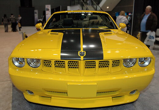 Chicago Auto Show 2010