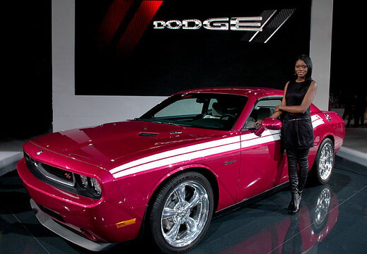 Chicago Auto Show 2010