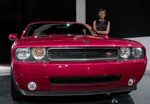 Chicago Auto Show 2010