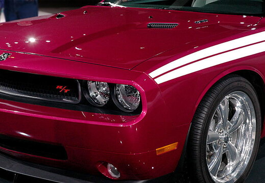 Chicago Auto Show 2010