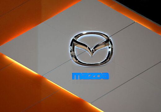 Chicago Auto Show 2010