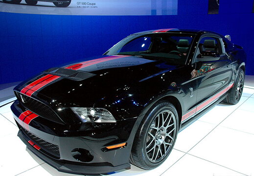 Chicago Auto Show 2010