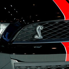 Chicago Auto Show 2010