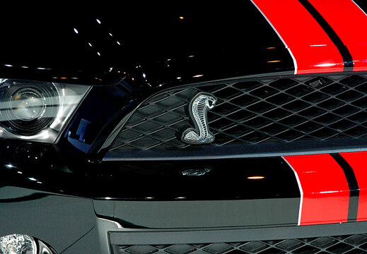 Chicago Auto Show 2010