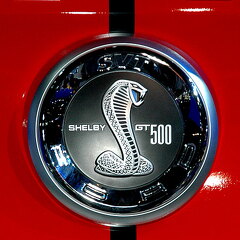 Chicago Auto Show 2010