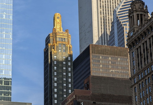 PXL 20230902 230528860