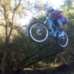 Des Plaines River Trail