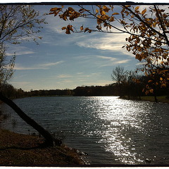 Des Plaines River Trail