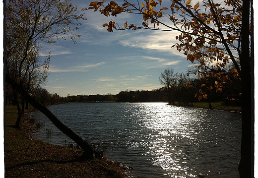Des Plaines River Trail