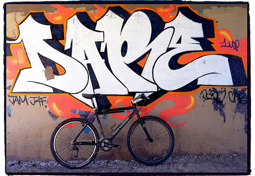 Des Plaines River Trail