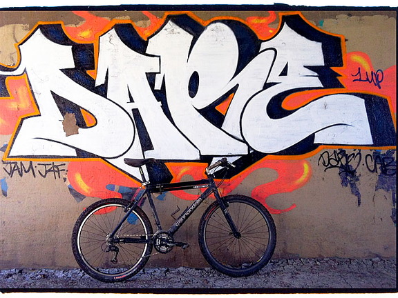 Des Plaines River Trail