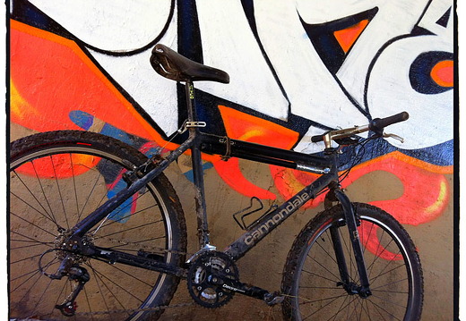 Des Plaines River Trail