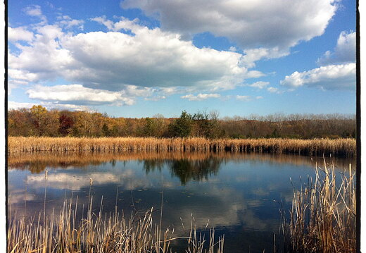 Des Plaines River Trail