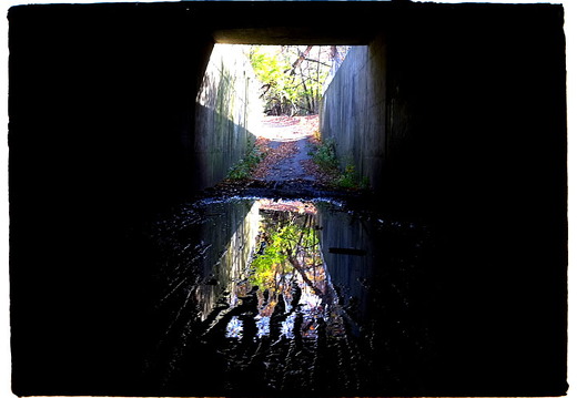 Des Plaines River Trail