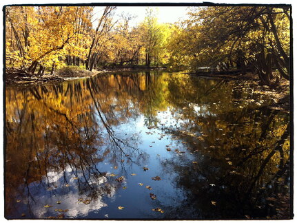 Des Plaines River Trail