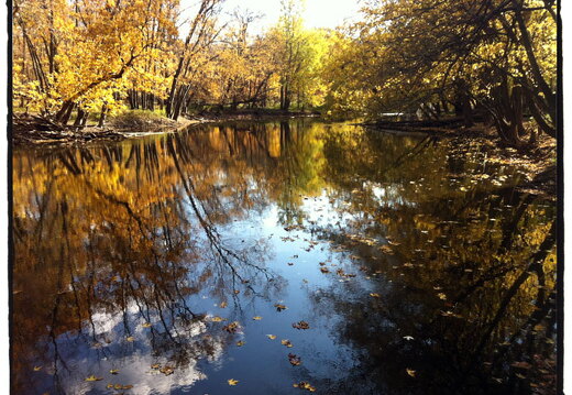 Des Plaines River Trail