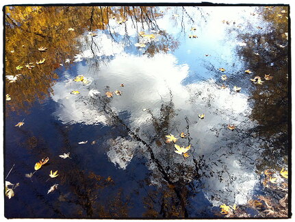 Des Plaines River Trail