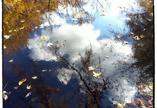 Des Plaines River Trail