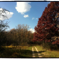 Des Plaines River Trail