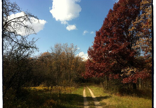 Des Plaines River Trail