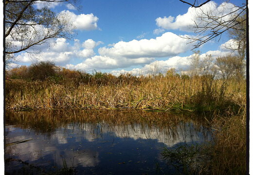 Des Plaines River Trail
