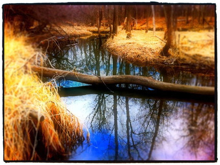 Des Plaines River Trail