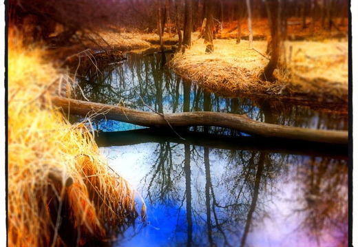 Des Plaines River Trail
