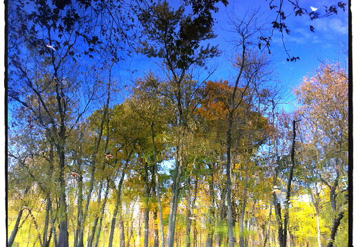 Des Plaines River Trail