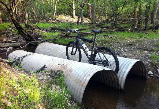 Des Plaines River Trail