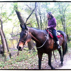 Des Plaines River Trail