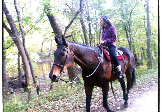 Des Plaines River Trail