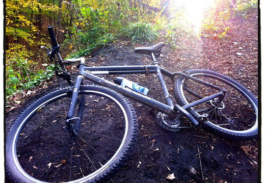 Des Plaines River Trail