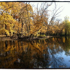 Des Plaines River Trail