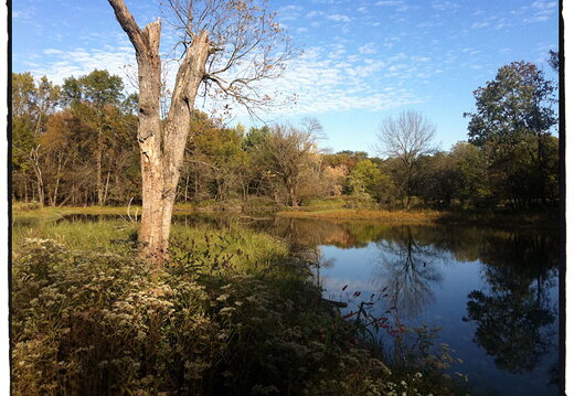 Des Plaines River Trail