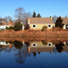 Des Plaines River Trail